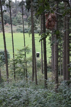 0058 Near Eichenberg Sept 2010 (Large)